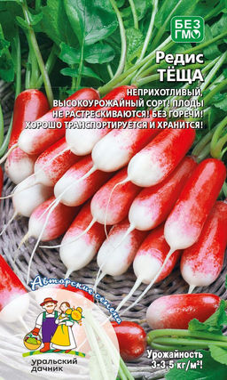 Редис ТЁЩА Неприхотливый, высокоурожайный сорт! Не растрескивается! Без горечи! Хорош для транспортировки и хранения!