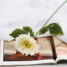 Цветы искусственные «Астра махровая», 46×10 см, белые