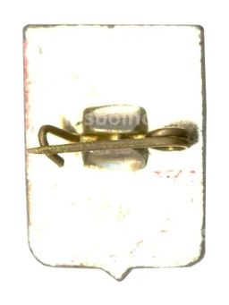 Значок Александров