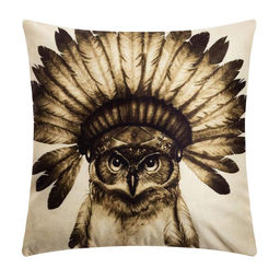 Наволочка декоративная Этель «Сова» 40×40 см, велюр