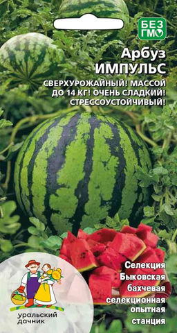 Арбуз ИМПУЛЬС  Ох и вкусен же этот арбуз! Не страшна ему ни жара, ни похолодания, для начинающих или ленивых садоводов! Большой урожай при минимальном уходе!