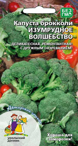 Капуста брокколи ИЗУМРУДНОЕ ВОЛШЕБСТВО  Стабильно высокий урожай! Лёжкость и болезнеустойчивость!
