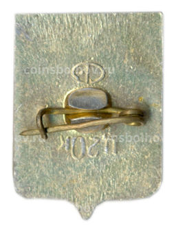 Значок Псков