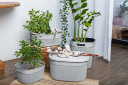 Корзина для хранения с крышкой OSLO 18л серый шторм PT1333СШ-10,,