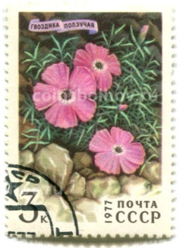 Марка Гвоздика ползучая 1977 год
