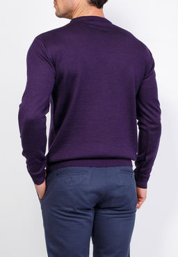 Джемпер мужской CASINO c121-016 слива  фото 3