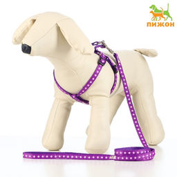 Комплект амуниции Звёзды, поводок 120 х 1 см, ОГ 26-38 см, фиолетовый