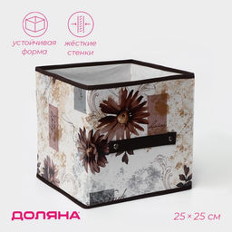 Короб стеллажный для хранения Доляна Астра, 252525 см