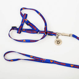 Комплект Super DOG, шлейка 26-39 см, поводок 120х1 см, медальон - Пушистое счастье фото 7