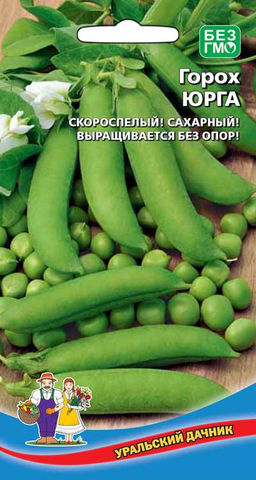 Горох ЮРГА  Скороспелый! Сахарный! выращивается без опор!