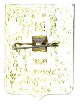 Значок Бельцы