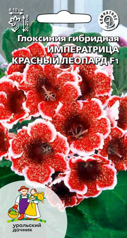 Глоксиния императрица КРАСНЫЙ ЛЕОПАРД