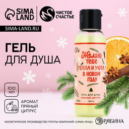 Цена за 2 шт. Гель для душа Тепла и уюта в Новом году!, 100 мл, аромат пряного цитруса, Чистое счастье