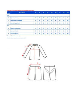 Костюм купальный (джемпер купальный + шорты купальные) д/мал. Арти