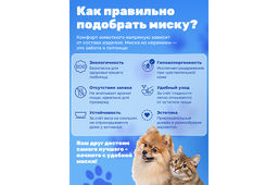 Миска для домашних питомцев 250 мл 15*13*4,5 см Котик, серый, керамика - Elan gallery фото 4