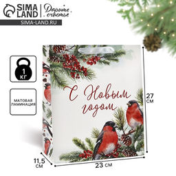 Пакет подарочный новогодний ламинированный «С Новым годом», ML 23×27×11.5 см