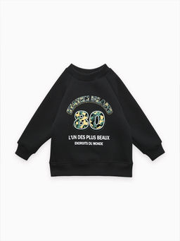 Толстовка футер начёс "Стейн" 30104