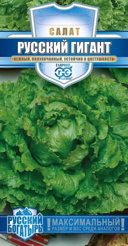 Русский богатырь (гигант) салат 0,5гр (г)