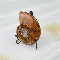 Аммонит на подставке - Радуга самоцветов фото 3