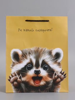 Пакет подарочный ламинированный «Ух! Какой подарочек!», 26×12×32 см