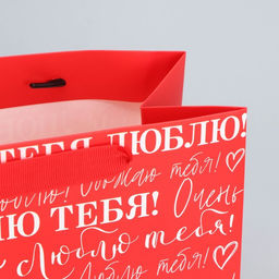 Цена за 2 шт. Пакет подарочный ламинированный, упаковка, «Люблю», MS 23×18×10 см