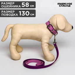 Комплект ошейник (58х2.5 см) и поводок (130х1.4 см) из экокожи, сиреневый с фиолетовым