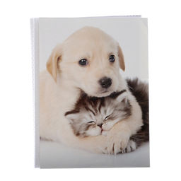 Фотоальбом на 36 фото 10×15 см Pioneer «Puppies and kittens друзья»