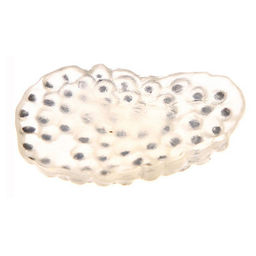 Обучающий набор Этапы развития лягушки 5 фигурок - Simaland фото 3