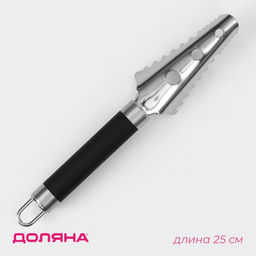 Цена за 3 шт. Рыбочистка Доляна Venus, 25 см, нержавеющая сталь, чёрная