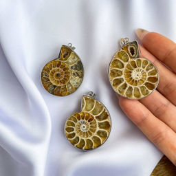 Кулон из Аммонита в оправе