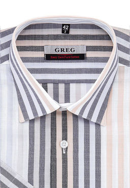 Сорочка мужская короткий рукав GREG 551/301/702