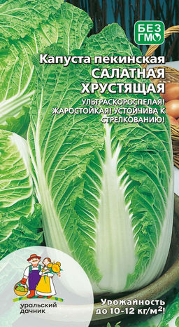 Капуста пекинская САЛАТНАЯ ХРУСТЯЩАЯ  Ультраскороспелая! Жаростойкая! Устойчива к стрелкованию!
