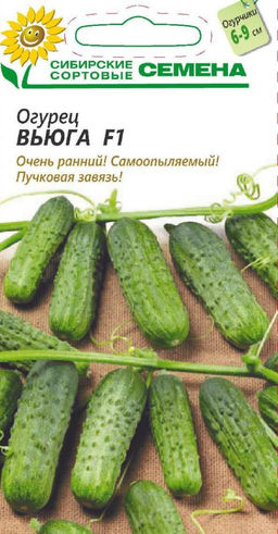 Вьюга F1 огурец 5шт (ссс) Р парт