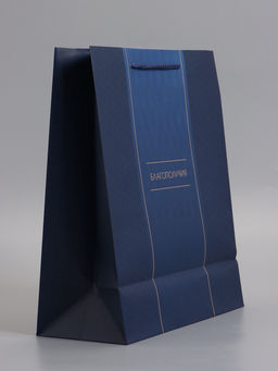 Пакет подарочный ламинированный «Лаконичный комплимент», 26×12×32 см