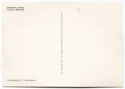 Открытка Петродворец  Большой каскад. Статуя Волхов