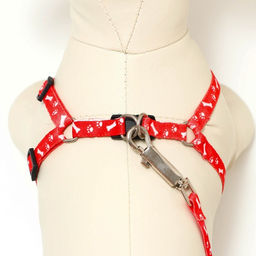 Комплект Классика, капрон, поводок 120 х 1 см, ОГ 21-35 см, красный - Пижон фото 4