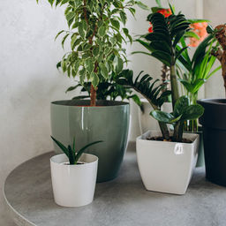 Цена за 3 шт. Кашпо для цветов, d=12.5 см, 1 л, пластик, бежевое