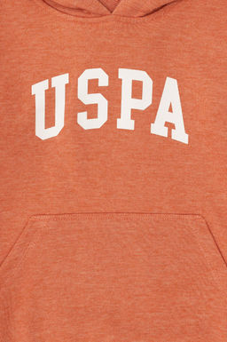 Базовый свитшот с корицей для мальчиков - U.s. polo assn фото 3