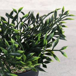 Цветочная композиция Зелень 18 см / CW414-2 /уп 6/96/ - Галеонтрейд фото 2