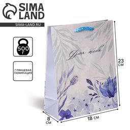 Цена за 2 шт. Пакет подарочный ламинированный, упаковка, For you, MS 18×23×8 см