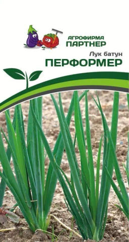 Лук батун Перформер