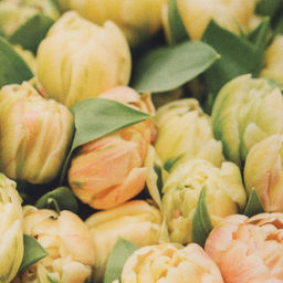 Набор подарочный 8 Марта: полотенце 40?73 см, лопатка