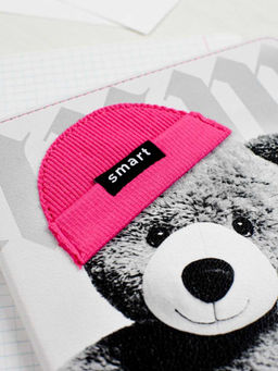 Дневник школьный арт. 68717 / 15 МИШКА В ШАПОЧКЕ