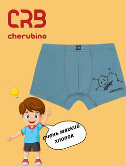 CRB wear/CSJB 10181-42 Трусы-боксеры для мальчика,синий/Ex.Cherubino
