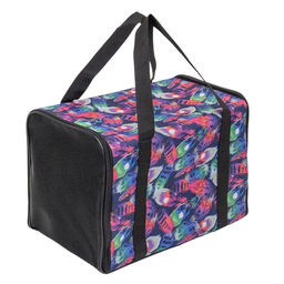 Сумка-переноска Редпл. ЧИКАГО-1 41*25*h28см 90442перо