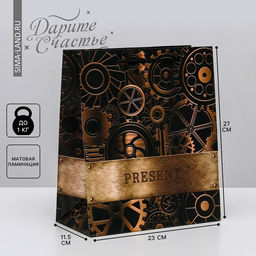 Цена за 2 шт. Пакет подарочный ламинированный, упаковка, Steel, ML 23×27×11.5 см