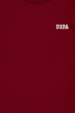 Erkek _ocuk Pembe Bisiklet Yaka Ti__rt - U.s. polo assn фото 3