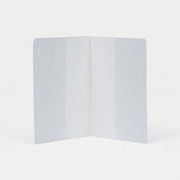 Цена за 2 шт. Обложка для паспорта, с гербом, триколор