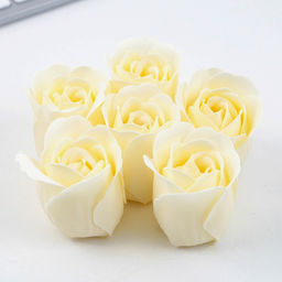 Подарочный набор, ежедневник, мыльные лепестки «Лучший воспитатель»