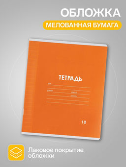 Тетради 10 штук, 18 листов в линейку Calligrata «Однотонная Классика. Эконом», серые листы, МИКС